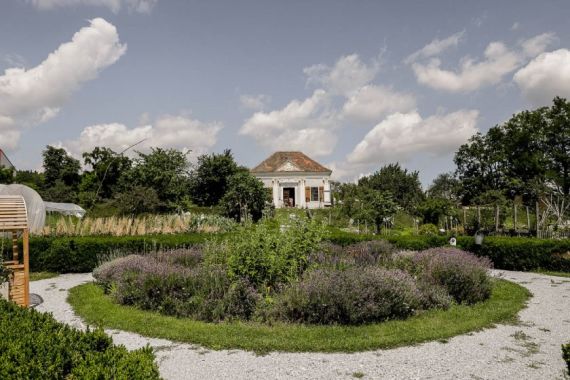 Hochzeitsreportage in Niederösterreich: Arche Noah