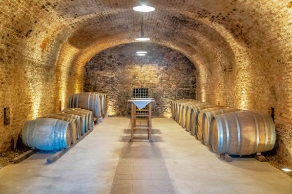 Wunderschöne Hochzeit im Freigut Thallern - Weingut und Stiftskellerei Heiligenkreuz