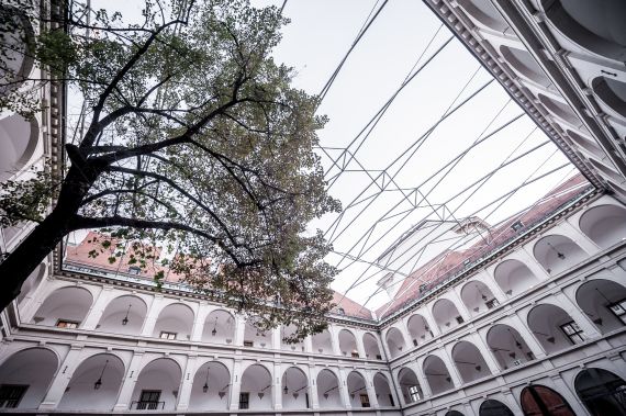 Hochzeitsreportage in Wien: Spanische Hofreitschule