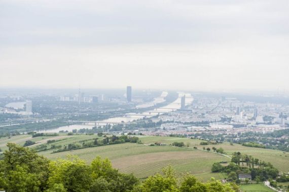 Hochzeitsreportage in Wien: Kahlenberg