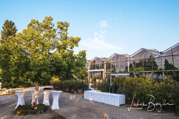 Hochzeitsreportage in Burgenland: Arche Moorhof/ Irene Clayton Eventmanagement
