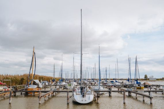 Herbstliche Hochzeit am Neusiedler See