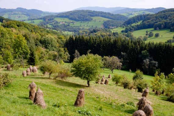 Stilvolle Spätsommerhochzeit im Refugium Hochstrass