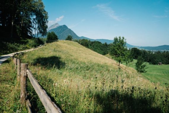 Hochzeitsreportage in Salzburg: undefined