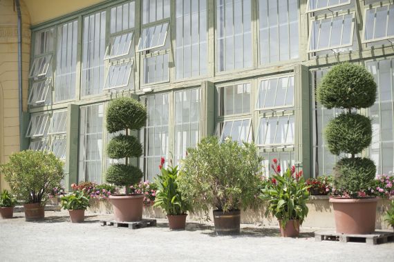 Hochzeitsreportage in Burgenland: Orangerie im Schlosspark Eisenstadt