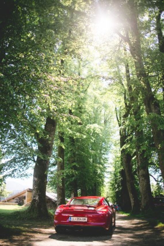 Lockere Gartenhochzeit im Schloss Altenhof