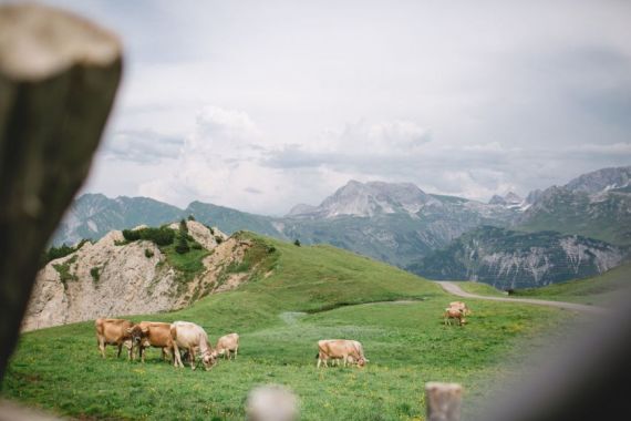 Heiraten auf der Alpe in Lech am Arlberg