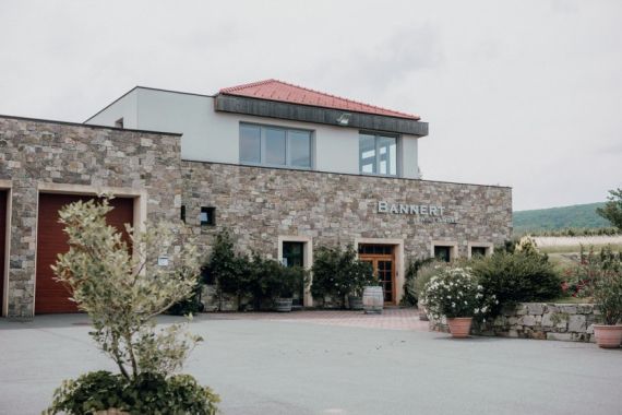 Hochzeitsreportage in Niederösterreich: Weingut Bannert