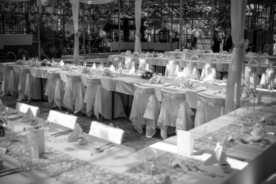 Hochzeitsreportage in Burgenland: Arche Moorhof/ Irene Clayton Eventmanagement