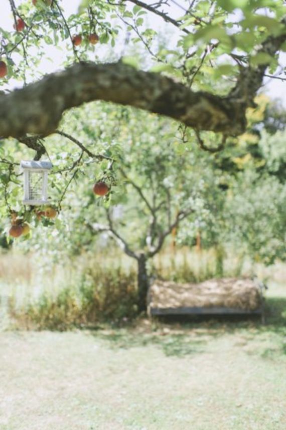 Hochzeitsreportage in Burgenland: Die Träumerei in Maria Bild