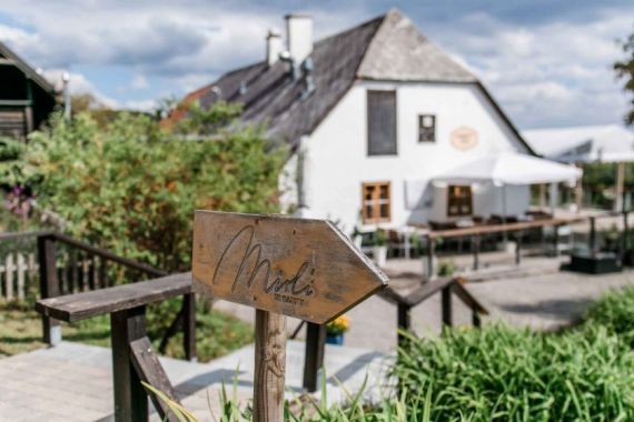 Hochzeitsreportage in Niederösterreich: Mirli   Der schönste Platz im Wienerwald