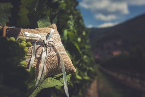 Hochzeitsreportage in Niederösterreich: Weingut Holzapfel