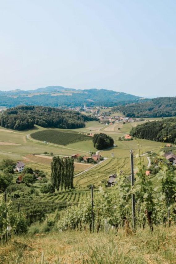 Hochzeitsreportage in Steiermark: Harkamp