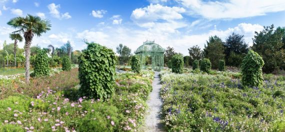 Hochzeitsreportage in Wien: Blumengärten Hirschstetten