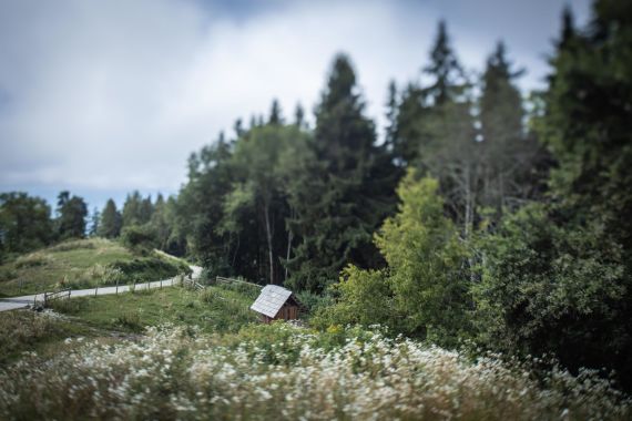 Hochzeit am Magdalensberg: Sabrina und Markus sagen 