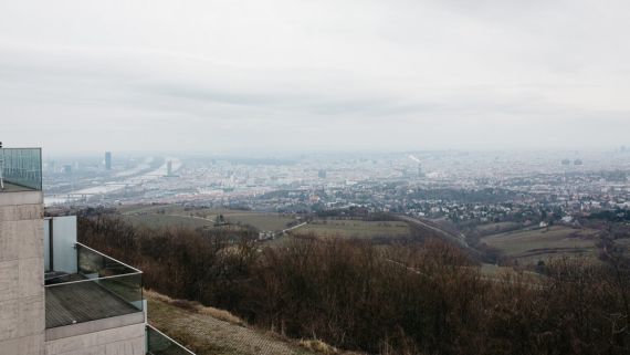 Hochzeitsreportage in Wien: Kahlenberg