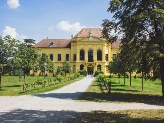 Hochzeitsreportage in Niederösterreich: Schloss Eckartsau