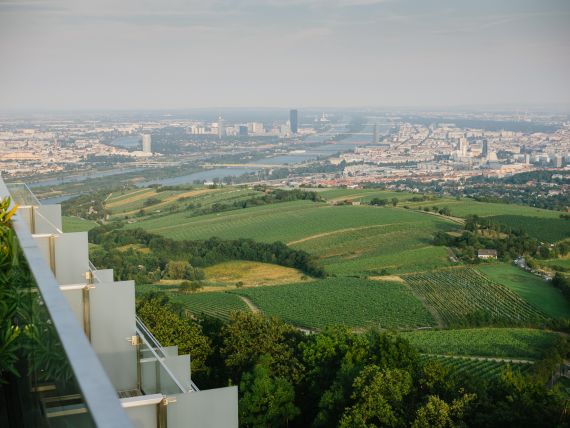 Hochzeitsreportage in Wien: Kahlenberg