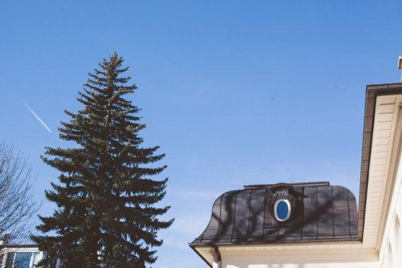 Hochzeitsreportage in Wien: Klimt Villa