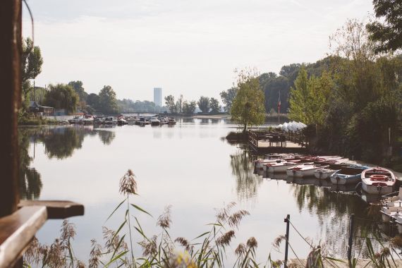 Herbstliche Hochzeit an den stillen Wassern der Alten Donau in Wien