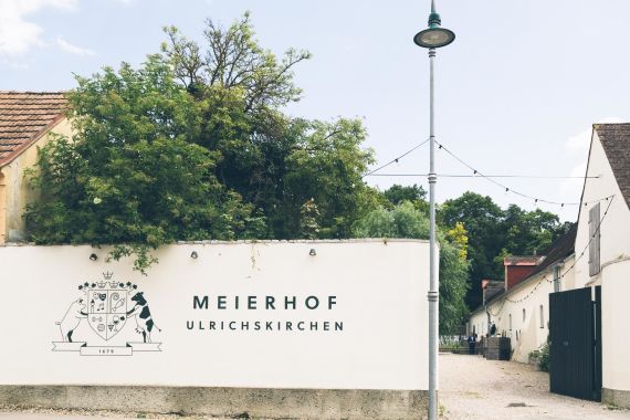 Sommerliebe & Südsee-Vibes – Hochzeit von Arthur & Florian im Meierhof Ulrichskirchen