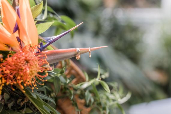 Tropical Wedding im Palmenhaus