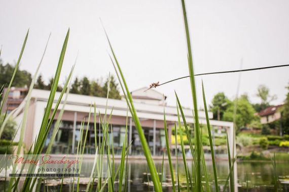 Hochzeitsreportage in Niederösterreich: Wirt am Teich