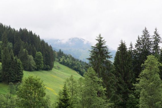 Hochzeitsreportage in Tirol: bergbauernmuseum