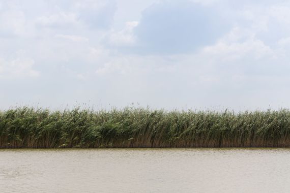 Hochzeitsreportage in Burgenland: Hotel Seepark Weiden