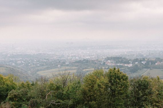 Hochzeitsreportage in Wien: Kahlenberg