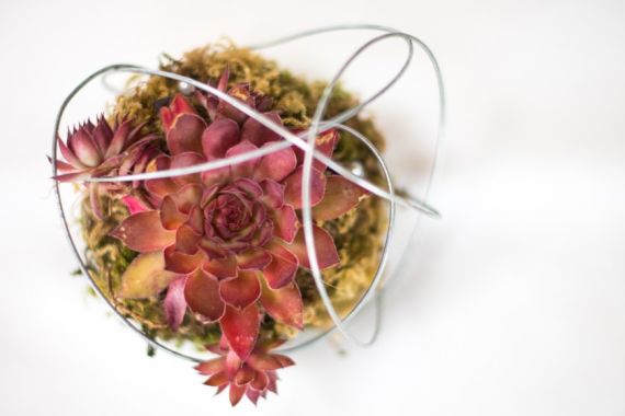 Hochzeitsreportage in Oberösterreich: Eventgasthof Feichthub