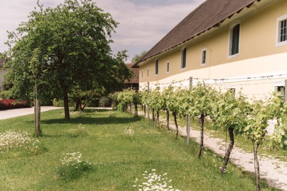 Hochzeitsreportage in Oberösterreich: Sallmannhof