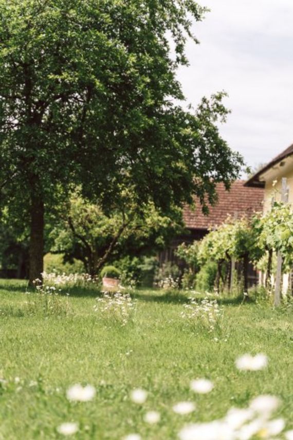 Hochzeitsreportage in Oberösterreich: Sallmannhof