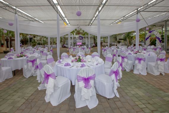 Eleganz und Spektakel: Eine filmreife Traumhochzeit in der Arche Moorhof in Großhöflein