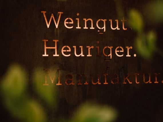 Hochzeitsreportage in Burgenland: Weingut Liszt
