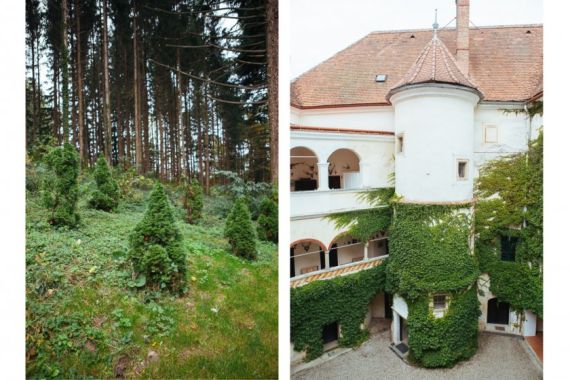 Hochzeitsreportage in Niederösterreich: Schloss Ernegg