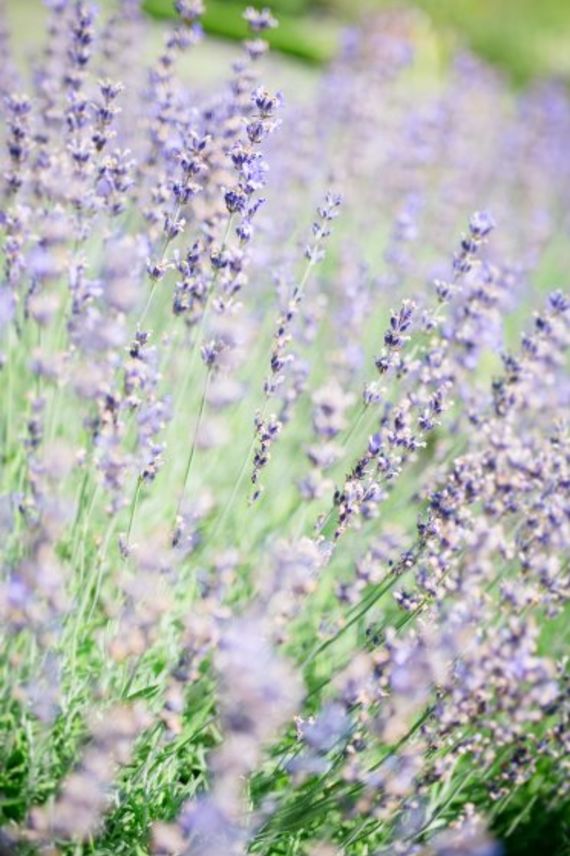 Hochzeitsreportage in Niederösterreich: Stift Zwettl