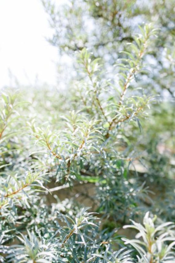 Hochzeitsreportage in Niederösterreich: Stift Zwettl