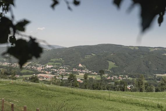 Hochzeitsreportage in Niederösterreich: Fernblick