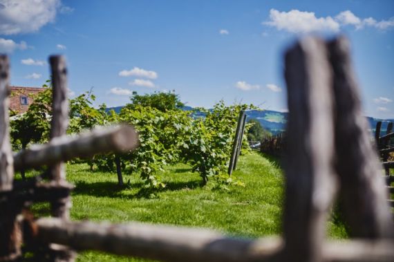 Hochzeitsreportage in Steiermark: Bratlalm Wenigzell