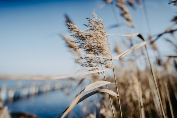 Hochzeitsreportage von Memories & Emotions Photography