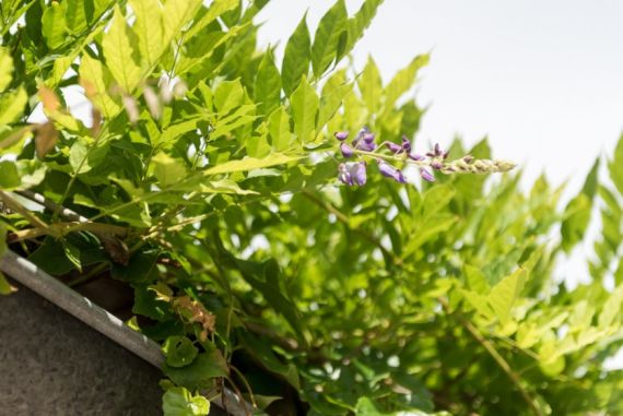 Hochzeitsreportage in Niederösterreich: Vinzenz Pauli