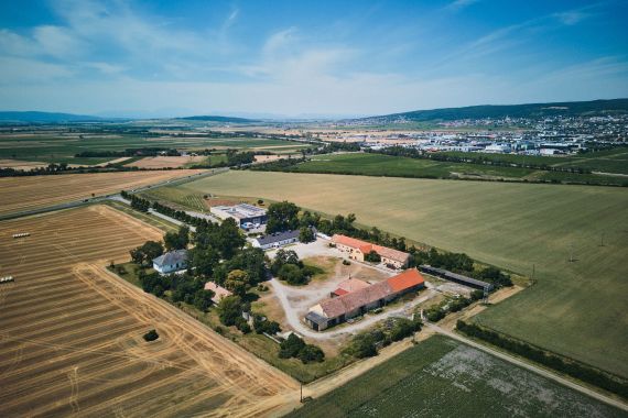 Italienisch-österreichische Hochzeit im Burgenland