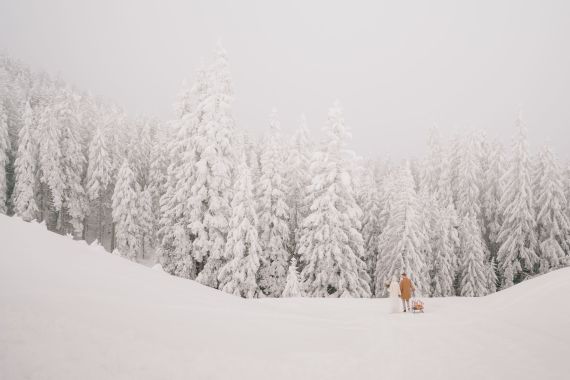 🛷❄️ Hochzeit mal anders – Mit Schlitten und Schnee ins Eheglück! 💍✨