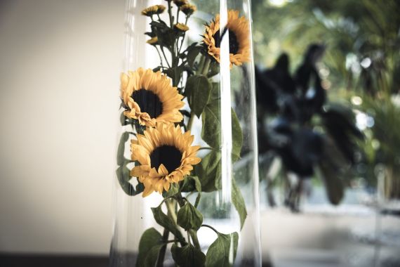 Stilvolle Herbsthochzeit in Mödling