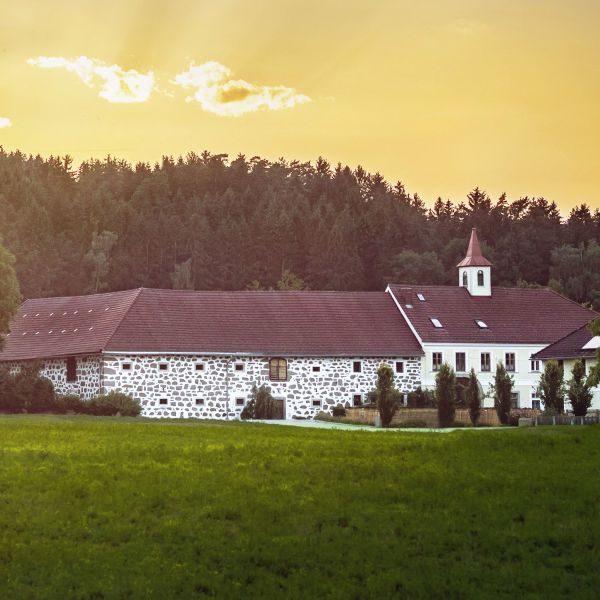 Lester Hof