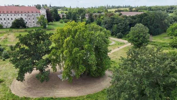 Trauung auf der Schlosswiese