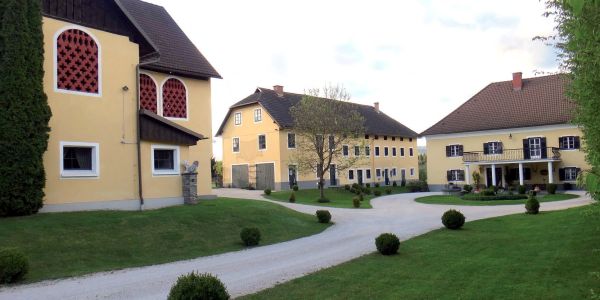 Thon 7 - Feiern mit Tradition