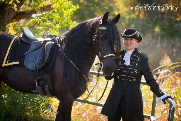 Marino-The Horse Of Dreams