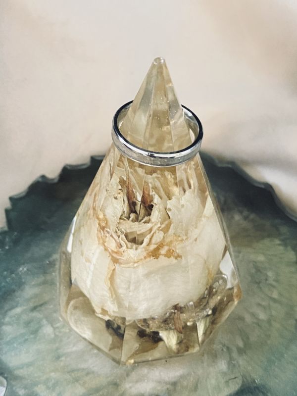 Ringhalter Ringhalter